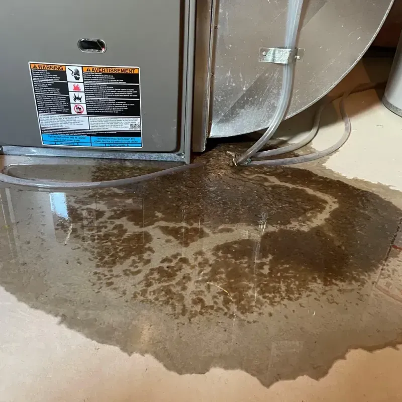 Appliance Leak Cleanup in Marin County, CA